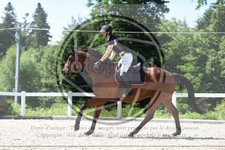 ref. photo 3647411