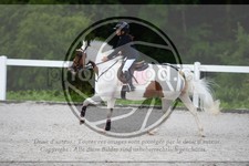ref. photo 3647418