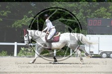ref. photo 3647474
