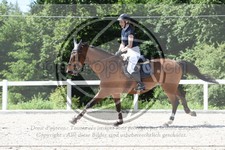 ref. photo 3647505