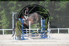 ref. photo 3647550