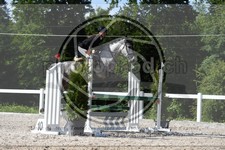 ref. photo 3647623
