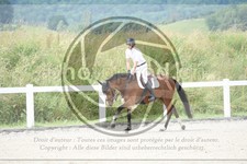 ref. photo 3648014