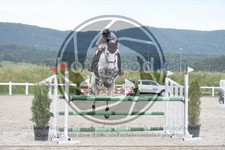 ref. photo 3648016