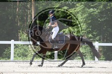 ref. photo 3648040