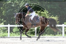ref. photo 3648041