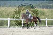 ref. photo 3648090