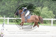 ref. photo 3648096
