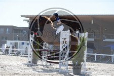 ref. photo 3648113