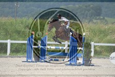 ref. photo 3648137