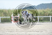ref. photo 3648166
