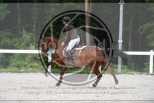 ref. photo 3648192
