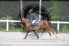 ref. photo 3648209