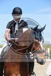 ref. photo 3648313
