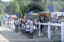 ref. photo 3648322