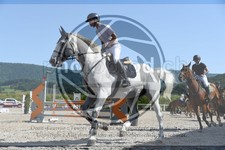 ref. photo 3648334