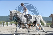 ref. photo 3648335