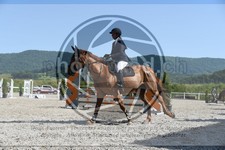 ref. photo 3648338