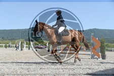 ref. photo 3648339