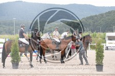 ref. photo 3648381