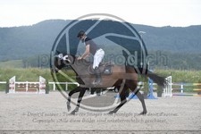 ref. photo 3648382