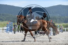 ref. photo 3648447