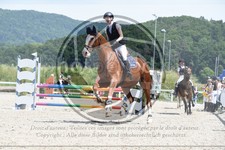 ref. photo 3648488