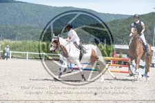 ref. photo 3648494