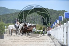 ref. photo 3648521