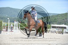 ref. photo 3648551