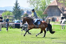 ref. photo 3155465