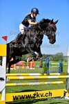 ref. photo 3155502