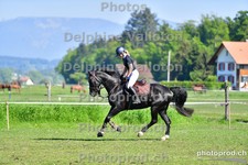 ref. photo 3155504