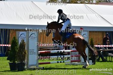 ref. photo 3155510
