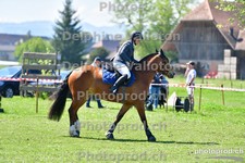 ref. photo 3155518