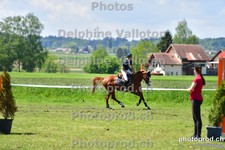 ref. photo 3155575