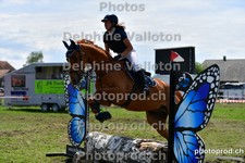 ref. photo 3155602