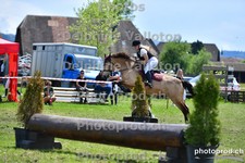 ref. photo 3155701