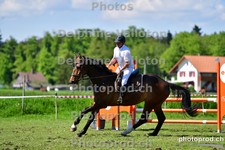ref. photo 3155770