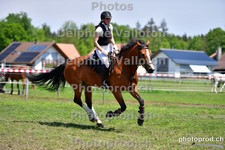 ref. photo 3155908