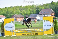 ref. photo 3156007