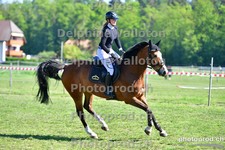 ref. photo 3156020