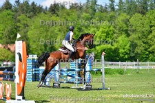 ref. photo 3156039