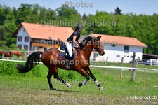 ref. photo 3156047