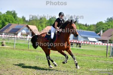 ref. photo 3156049