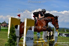 ref. photo 3156053