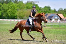 ref. photo 3156057