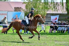 ref. photo 3156070