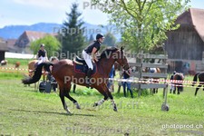 ref. photo 3156078
