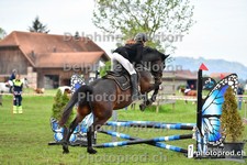 ref. photo 3156103